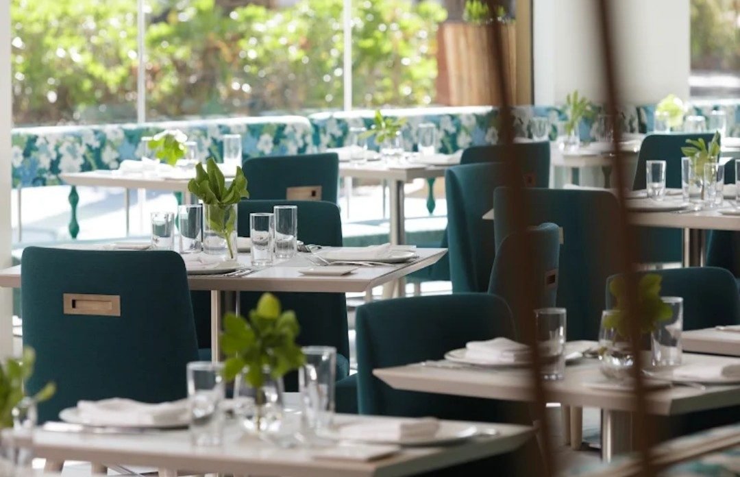 Nautilus
